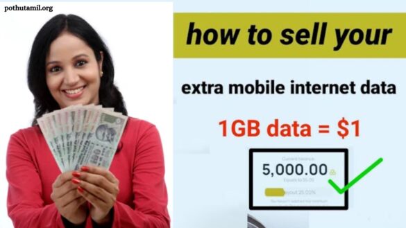 How to Make Money by Selling Internet Data